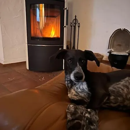 Schoenes Forsthaus Mitten In Der 埃尔特维勒