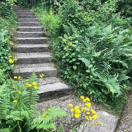 度假居 Schoenes Forsthaus Mitten In Der