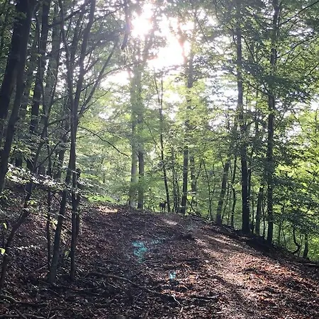度假居 Schoenes Forsthaus Mitten In Der 埃尔特维勒