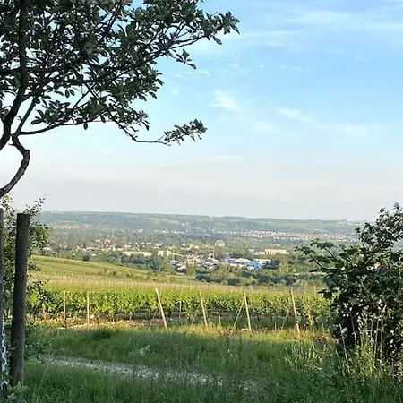 度假居 Schoenes Forsthaus Mitten In Der 埃尔特维勒