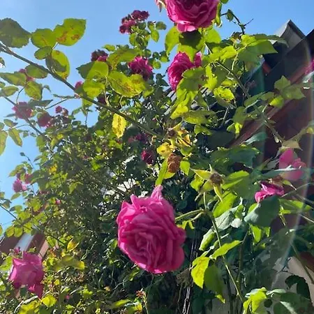 Schoenes Forsthaus Mitten In Der 度假居