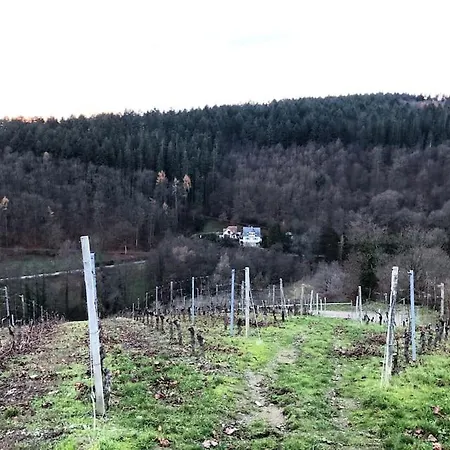 Schoenes Forsthaus Mitten In Der *