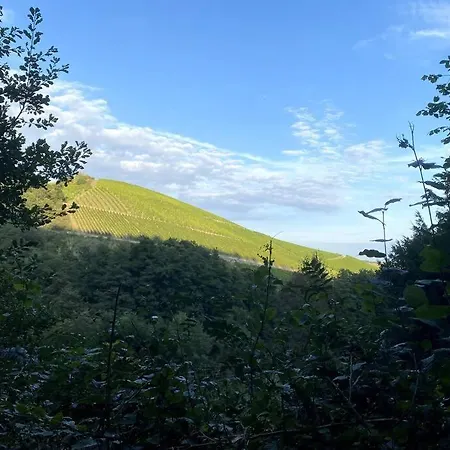 Schoenes Forsthaus Mitten In Der 埃尔特维勒