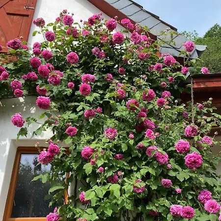 Schoenes Forsthaus Mitten In Der 度假居