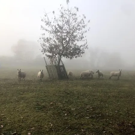 Schoenes Forsthaus Mitten In Der 度假居 *