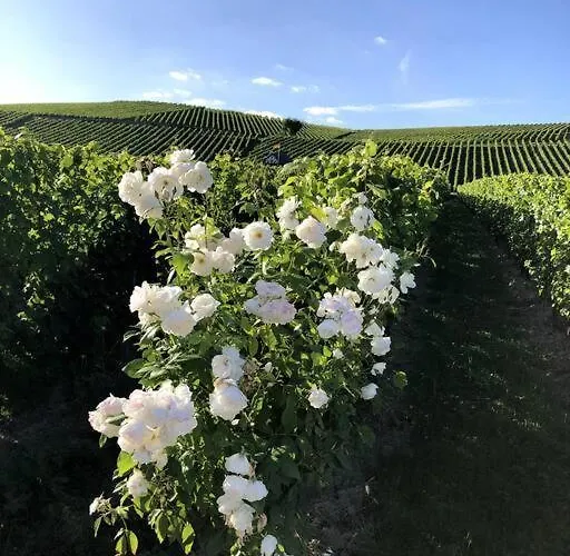 Nyaraló Schoenes Forsthaus Mitten In Der *