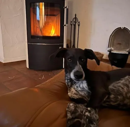 Schoenes Forsthaus Mitten In Der Eltville am Rhein