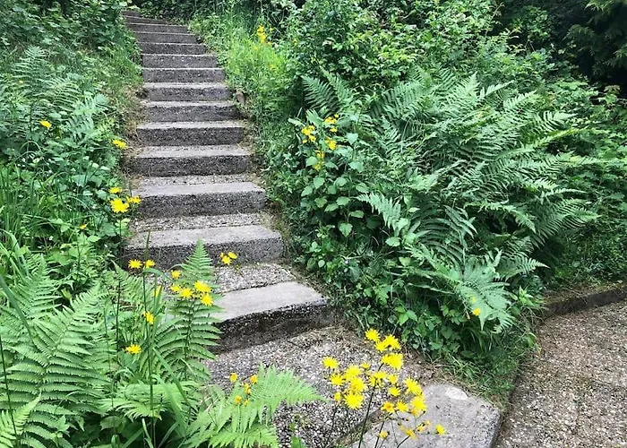 Nyaraló Schoenes Forsthaus Mitten In Der