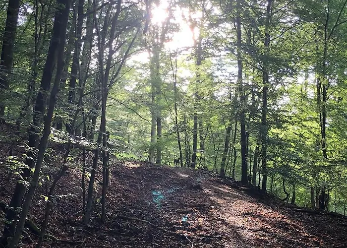 Nyaraló Schoenes Forsthaus Mitten In Der Eltville am Rhein
