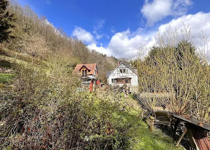 Schoenes Forsthaus Mitten In Der *