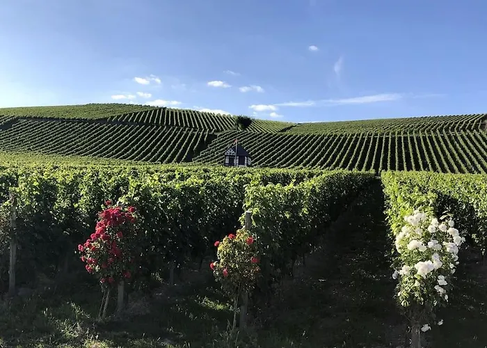 Nyaraló Schoenes Forsthaus Mitten In Der Eltville am Rhein