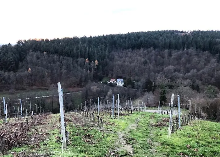 Schoenes Forsthaus Mitten In Der *