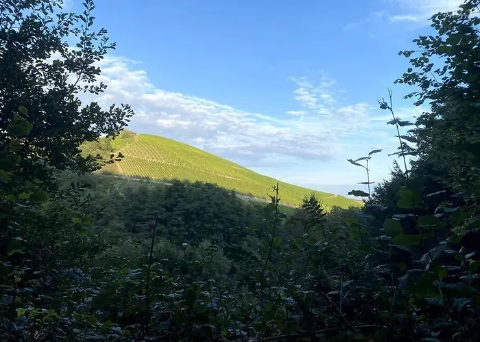 Schoenes Forsthaus Mitten In Der Eltville am Rhein