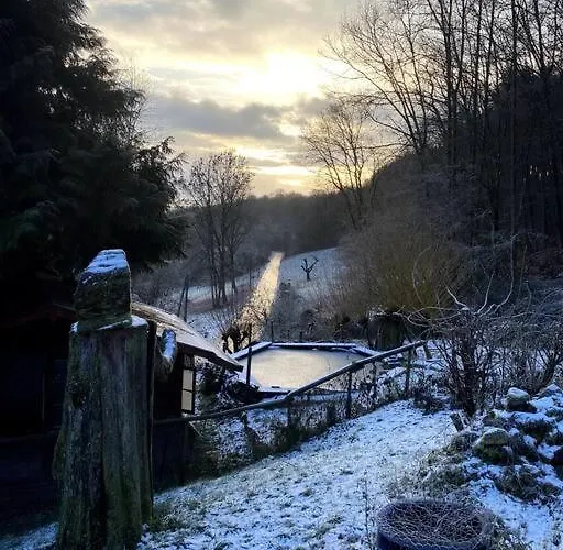 Schoenes Forsthaus Mitten In Der