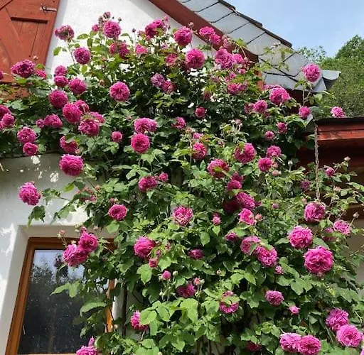 Schoenes Forsthaus Mitten In Der Nyaraló