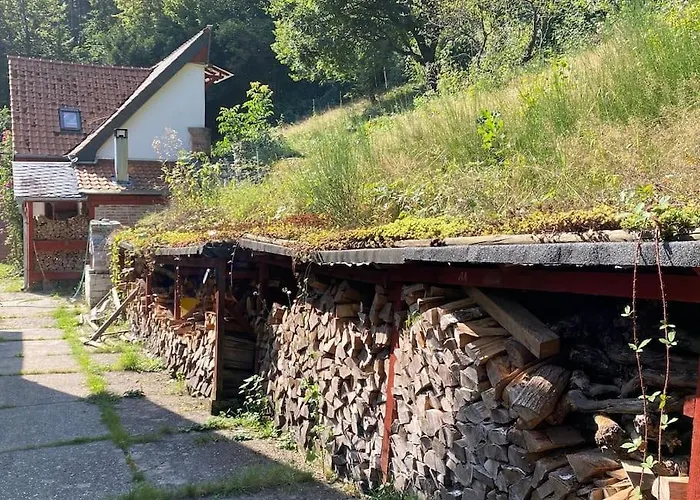 Schoenes Forsthaus Mitten In Der Nyaraló *
