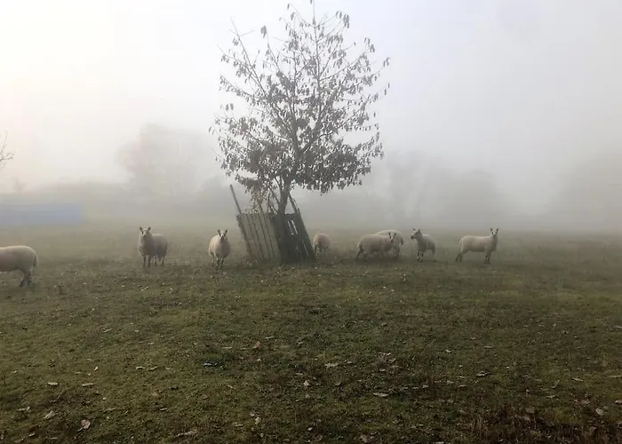 Schoenes Forsthaus Mitten In Der Nyaraló *